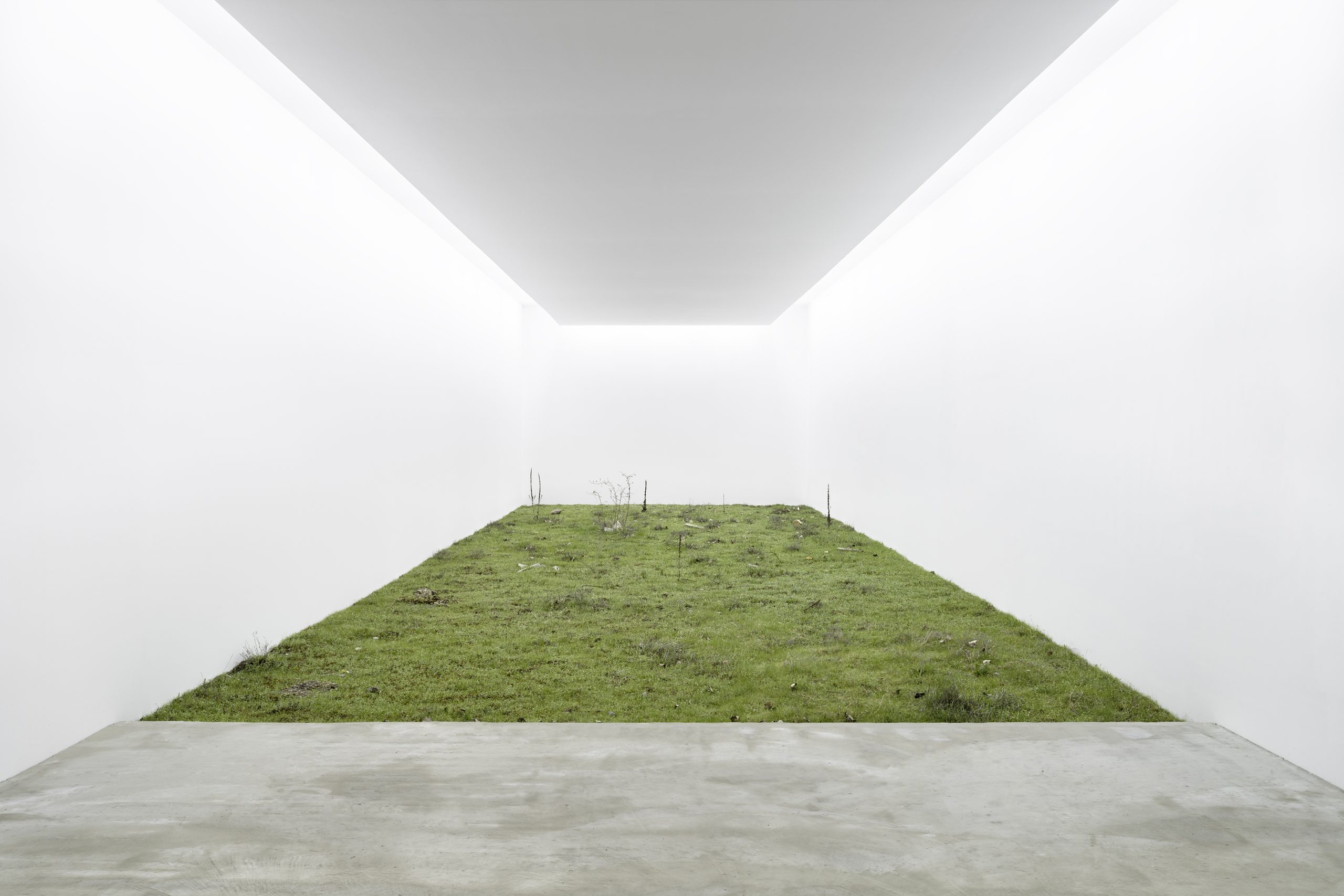 Isolation (Brache) — Fabian Knecht